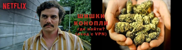 сатива Верхний Тагил