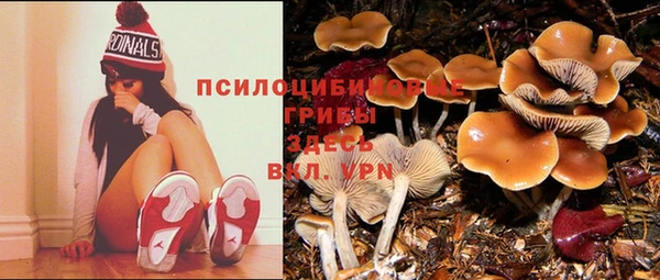 каннабис Верея