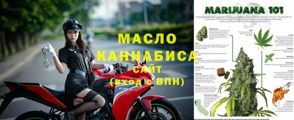 сатива Верхний Тагил