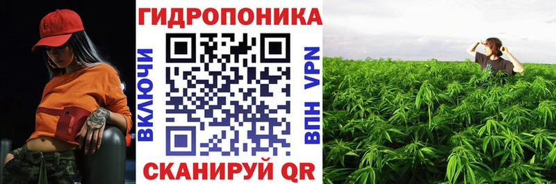 Каннабис White Widow  как найти   Геленджик 